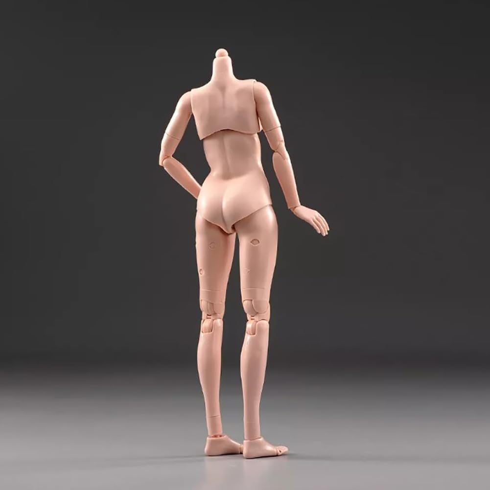 1/6 Scale Flexible Female Body 12" Pale Skin Large Breast Miniature Action Figure Body Doll Collection