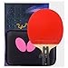LINGOSHUN Set da Ping Pong Professionale con Gomma Approvata ITTF per Allenamento Intermedio,Mazza da Ping Pong in Carbonio ad Alte prestazioni / 1 Pack/Short handle