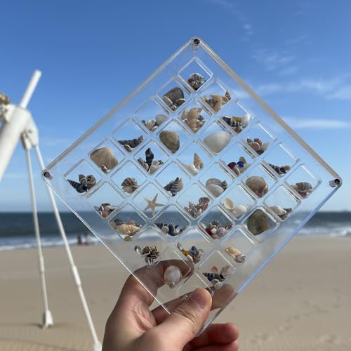 Image of Large Acrylic Magnetic Seashell Display Box,DIY Seashell Display Box,Clear Storage Box for Seashell,Gemstones,Nail,Jewelry (1Pc 36 Grids Large)