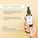 LuminaSkin Vitamin C Face Serum Vitamin CE Serum with Ferulic Acid for Women Vitamin E and Ferulic Serum Skin Care - Vitamin C Serum for Face - Dark Spot Corrector, Anti Aging Face Care 1 Oz