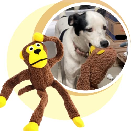 Brinquedo Pelúcia Macaco Amigão Apito Para Cachorro Pet