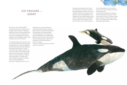 Die Gefühle der Tiere: Von eifersüchtigen Affen, ängstlichen Hunden und pfiffigen Ratten: Kinderbuch ab 8 Jahre mit fotorealistischen Illustrationen