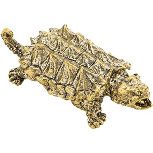 �T�̑� ���� �J�~�c�L�K�� �쐶�������f�� �����O�b�Y �J�^�A�C�e�� �u�� �C���e���A ���蕨 ���蕨