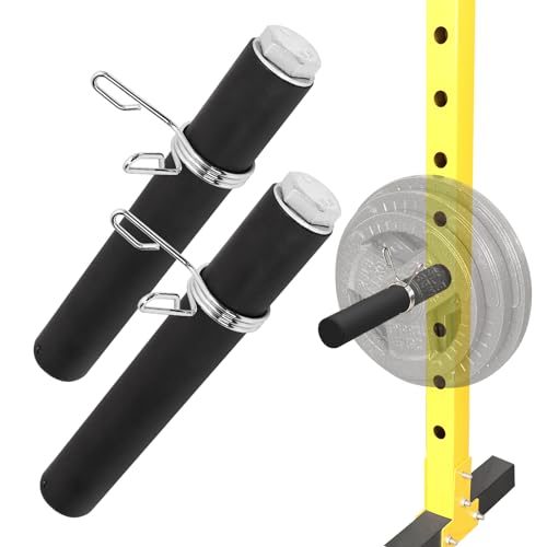 Weight Plate Holder Power Rack：Olympic Plate Storage for Squat Rack Attachment- 2inch Plates Holder for Power Cage Rack -  powerfeng, PL-24-10
