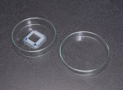 45-0501 - Tissue Slice Chamber, BTX - Tissue Slice Chamber - Each