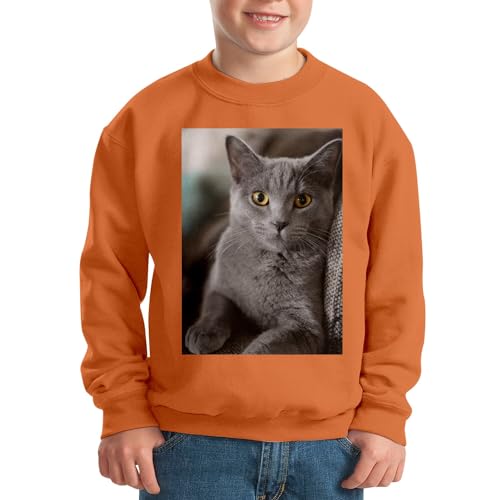 Sweat enfant chat Russian Blue le cadeau d'anniversaire idéal - 2