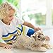 RoundFunny 15 Inch Stuffed Animal Lion Easter Gifts Lions Plush Realistic Wild Jungle Animals Lions Toys for Girls Boys Birthday (Lion)