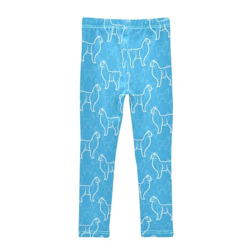 Llama on A Blue Girls Leggings,Workout Leggings for Girls Toddler Athletic Leggings Size for 3-10T2