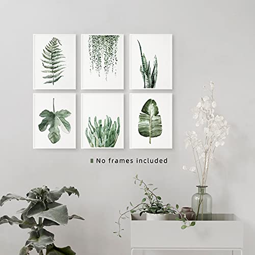 Plant Prints Unframed Posters Wall Art For Living Room Decor, 8X10 Poster Canvas Prints Set Of 6, Botanical Prints Wall Art Leaf Posters Sage Green Decor #TOP3