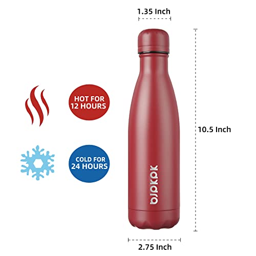 Image of BJPKPK 17 oz Insulated Water Bottle, Stainless Steel Flask, Leak Proof
