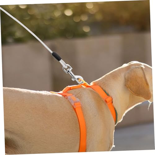 Câble de promenade pour chiens confortable pour éduquer les chiots sans douleur