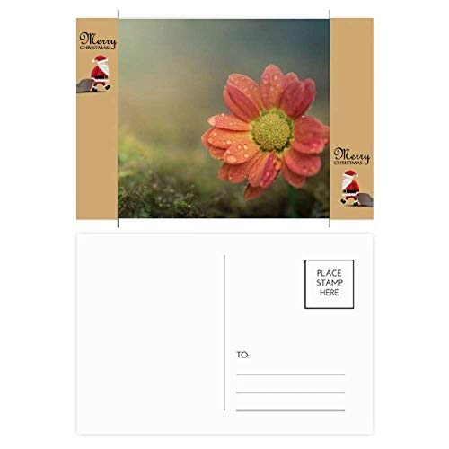 Cartes postales Père Noël Rouge foncé au fini mat pour vœux élégants