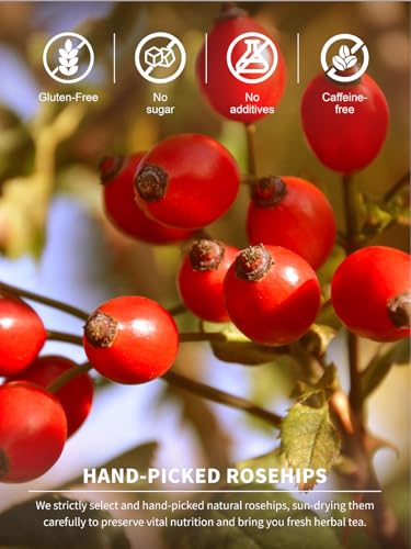 Image of TeeLux Rose Hips Tea Bags, Fruity Flavor and Aroma, Caffeine-free, 100Count | Natural & Pure Rosehip Tea, No Sugar, No Gluten