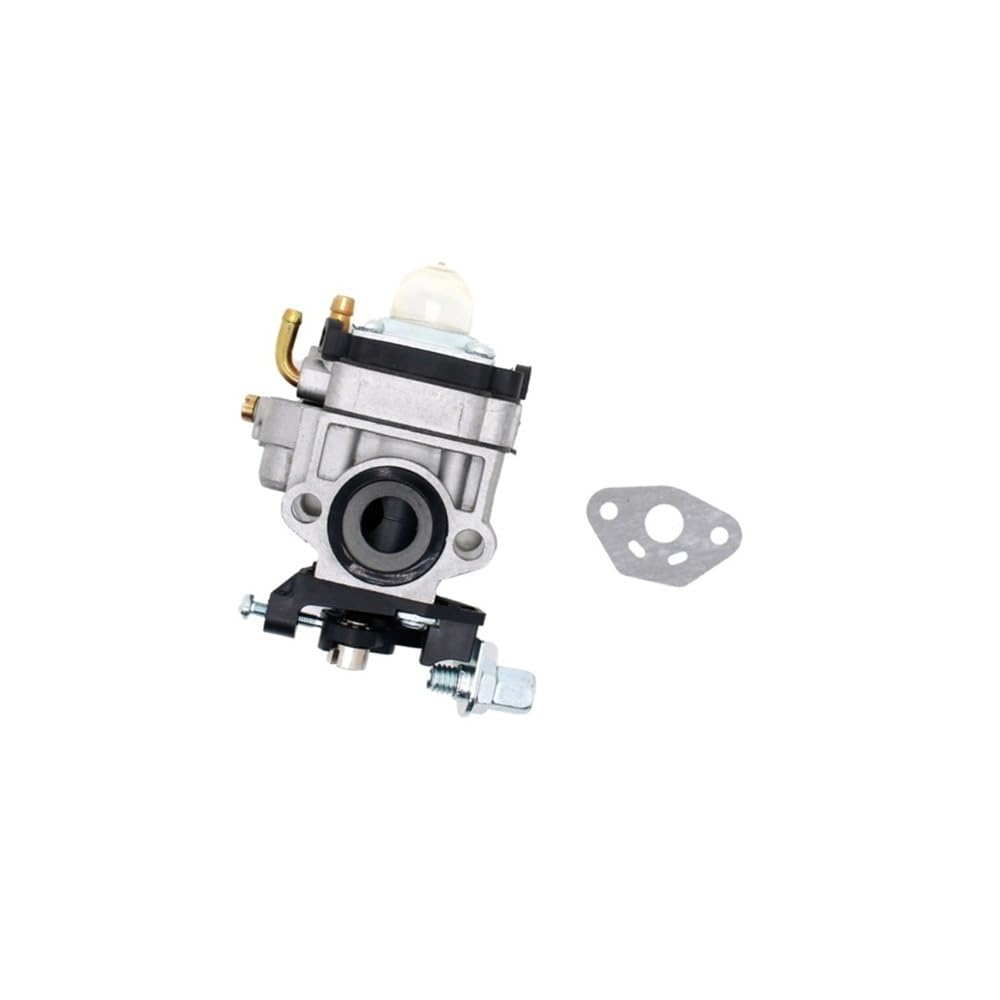 Carburateur CG260 pour entretenir le jardin avec un souffleur