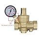 Wasserdruckregler mit austauschbarem Filter 1/2 3/4 1 1-1/4 1-1/2 2 Zoll - Wasserdruckminderer mit Manometer (DN25-1 Zoll)