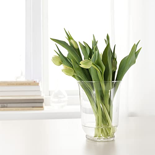Vase en verre transparent ProTuning POMP de 18 cm pour decoration