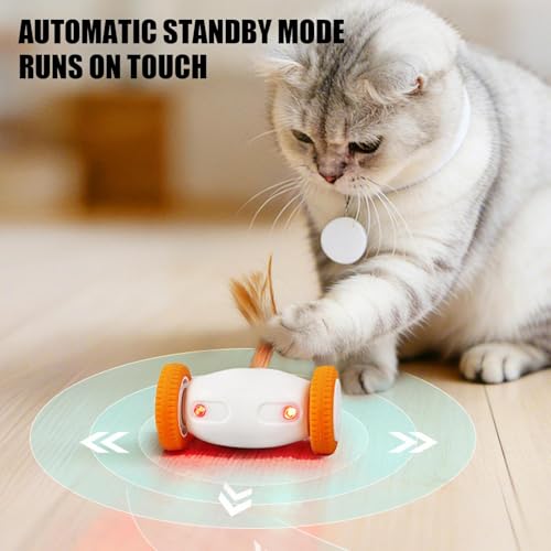 Jouet électronique automatique pour chaton intérieur avec queue et lumières usb - 8