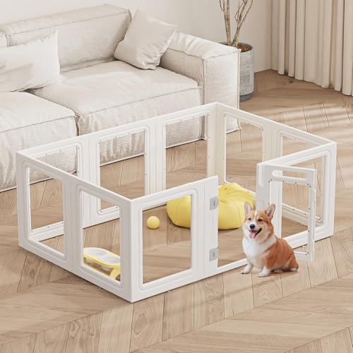 GumiSeaoANybgtFXdvX`bNqX|[cyOybgtFX^܂肽݃P[W10^Ɖƒpipli9*pl+hA1j