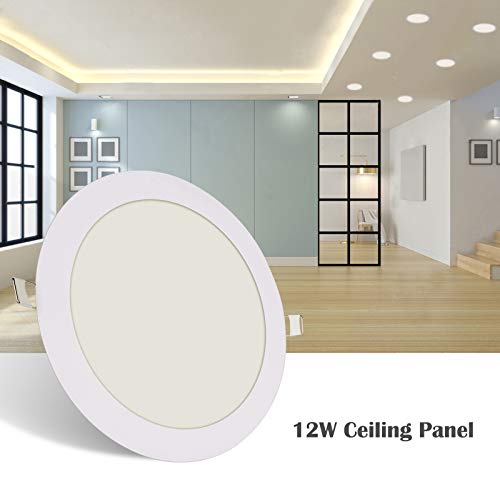 D&F Plafoniera LED Lampada a Soffitto 12W, 3000-6500K LED Tondo da Superficie Lampada da Soffitto Luce da Incasso per Cucina, Bagno, Camera da Letto, Soggiorno, Corridoio