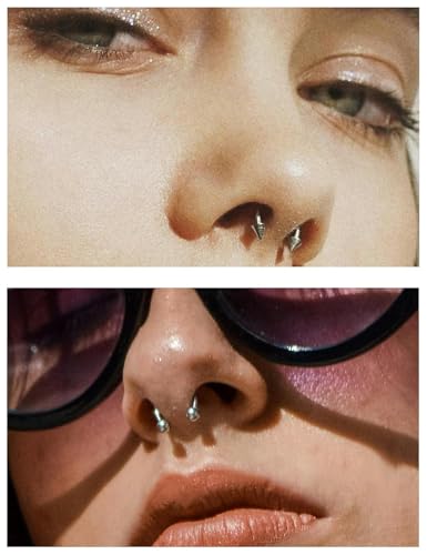 16G Hinged Clicker Segment Septum Rings Stainless Steel Nose Horseshoe Hoop Eyebrow Lip Cartilage Helix Tragus Earrings Piercing Jewelry 6/8/10/12mm Replacement Balls 3mm4