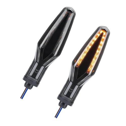 Clignotants haute visibilité pour BMW R1300GS et F900GS feux directionnels puissants