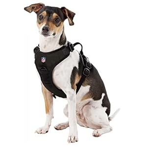 Littlearth Unisex-Adult NFL Philadelphia Eagles Front Clip Pet Harness, Team Color, Small