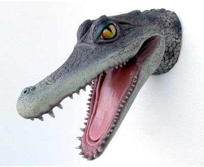 Amazon ワニ アリゲーター ヘッド ビッグフィギュア 壁掛けタイプ フィギュア ドール 通販