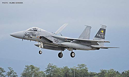 F-15j Eagle Jouet Hasegawa Ha2226 maquette avion de chasse 306 Sqd 35th Anniversary 1:182,9