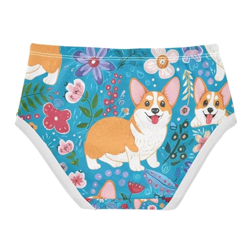 Cute Corgi Dogs Toddler Girls's Underwear 2T 202c12822