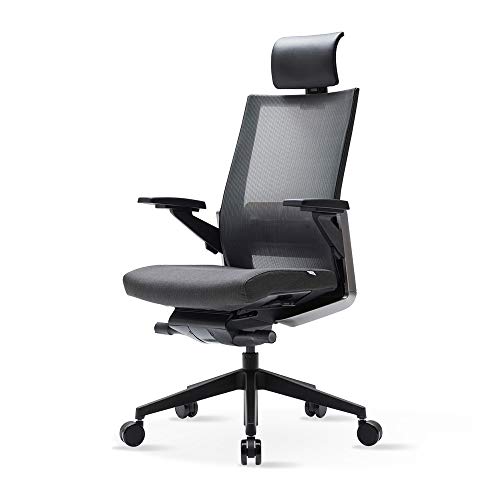 SIDIZ T80 Highly Adjustable Ergonomic Office Chair (T800HLDA): German Ultimate Sync Mechanism