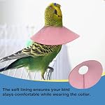 4Pack Bird Cone Collar, Anti-Grab Feather Plucking Wound Healing Safety Elizabethan Collar, Protective Recovery Cones for Budgerigar Cockatiel Lovebirds Cockatoo Parrots (L) - Image 7