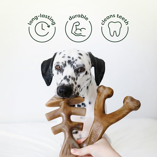 Image of Benebone 4-Pack Ball /Bone /Bacon Wishbone /Fishbone Medium