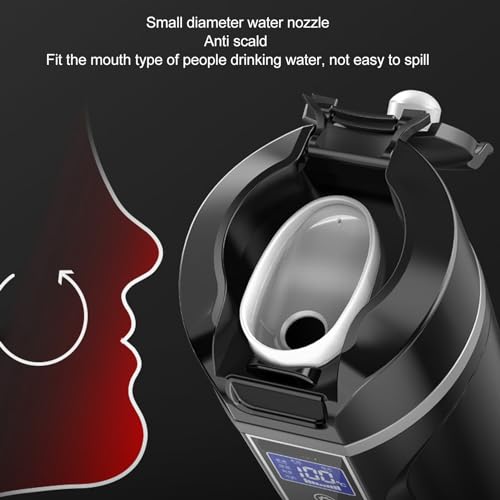 Tetera Eléctrica de Viaje 500ml Negra con Pantalla de Temperatura miniatura 7