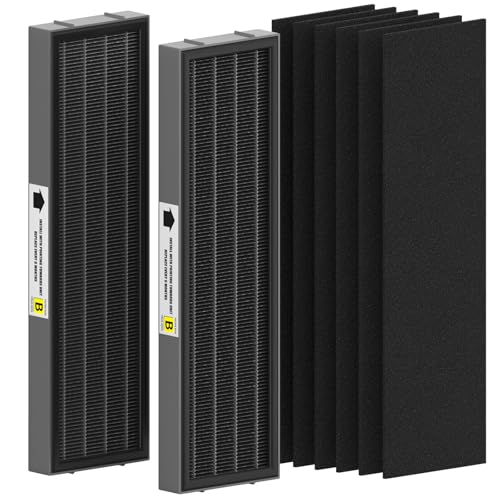 Filter B Smoke Clear HEPA-Ersatz, kompatibel mit AC4825, AC4300, AC4800, AC4900, AC4850, 2 True HEPA-Filter und 6 Aktivkohle-Vorfilter, FLT4825SM, Schwarz/Grau