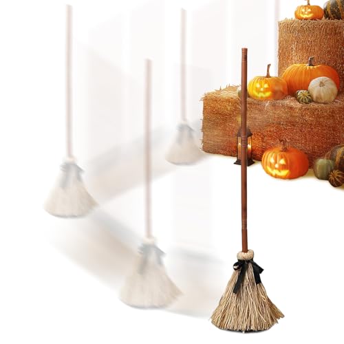 ̂ق - mŌ蕂Vق,sCȉt 110cm nEBp[eB[p ֐ peBI   