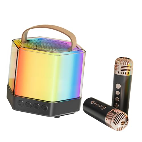 Mini machine de karaoké portable Q7 noire avec double microphone sans fil VILLCASE - 5