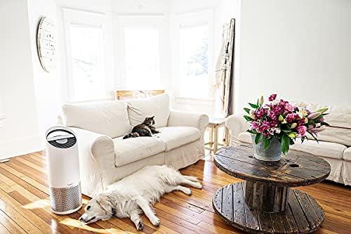 Leitz TruSens Z-2000 Air Purifier With Air Quality SensorPod, Captures Viruses, Hayfever Allergens, Dust, Odours & Smoke, UV-C Lamp Kills over 98% Of Airborne Bacteria, Cleaner Air For Room Up to 35m²
