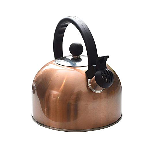 2,5 l Pfeifkessel aus Edelstahl, Pfeife-Teekanne mit Lebensmittelqualität und hitzebeständigem Griff für Induktionsherde