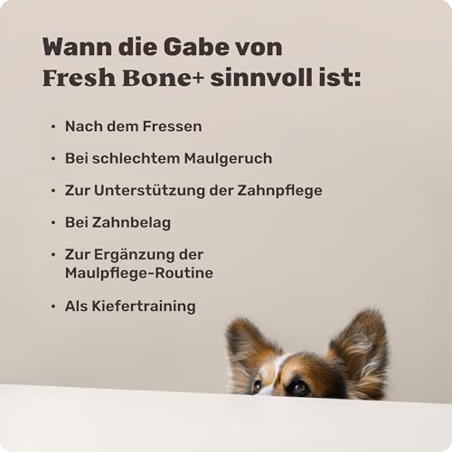 4-in-1 Zahnpflege-Kauknochen - Fresh Bone+ 1x Kauartikel (12cm) von mammaly - Kaustange aus Rinderhaut mit Salbei, Minze & Grüner Tee u.v.m. zur Mundhygiene - Kauspielzeug / -Knochen gegen Mundgeruch
