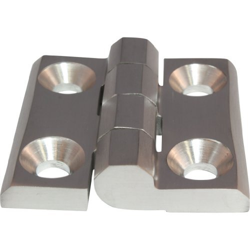 Stainless Steel Door Hinge, Screw-On Hinge, Stainless Steel 50 x 50 mm 270° AISI 316, Silver