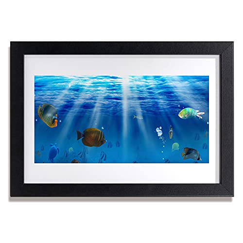 Cadre photo poisson Tulup pour une ambiance deco zen et naturelle dans votre cuisine ou salon