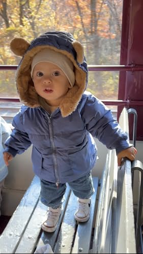 TUONROAD Baby Girls Coats for 6 Months-5 Years Toddlers Boy Winter Jacket Warm Bear Hooded Outdoor Coats Size 54