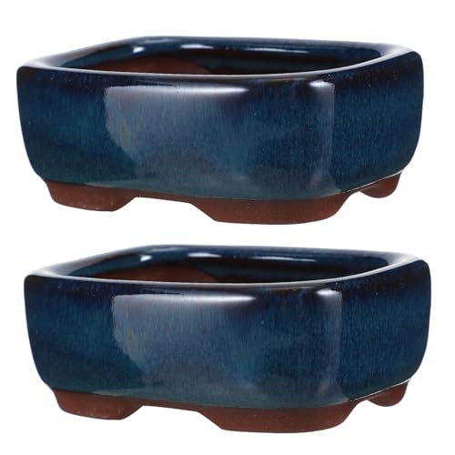 Toyvian Macetas De CeráMica 2piezas Duraderas