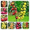 Generic Vers 30st Appel fruit ZADEN voor opplant Gemengd