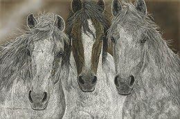 Judy Larson The Misfits Limited Edition Print