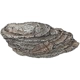 QUMIIRITY 三葉虫化装飾 樹脂製古生物標 軽量コンパクトで持ち運び便利 屋内外の景観デコレーションに 素材使用で耐久性あり