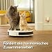 Beaphar CatComfort® Excellence Starter-Kit, 1 St./48ml (DE95223688)