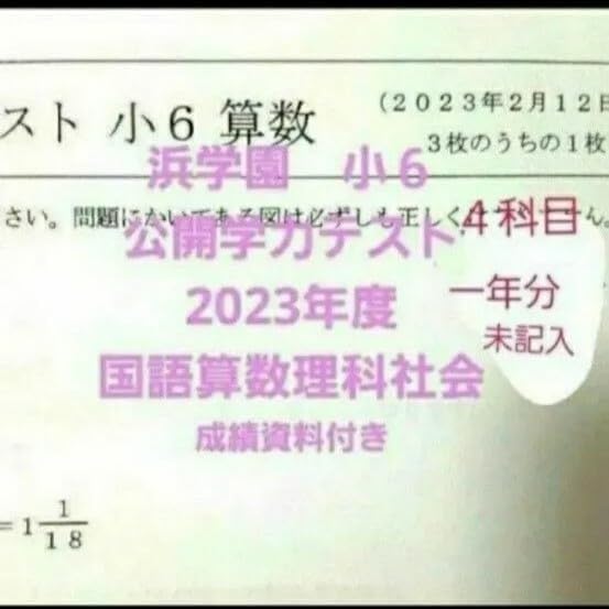 奨学社　リビューテスト　算数国語　一年分　算数国語2科目 奨学社 リビューテスト 算数国語 一年分 算数国語2科目 奨学社