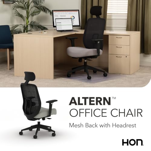 Image of HON Altern Ergonomic Office Chair, Office Desk Computer Chair, Fog
