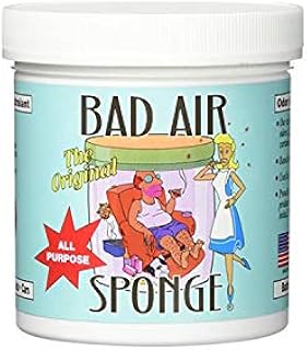 Bad Air Sponge Odor Neutralizer, 1-Pound